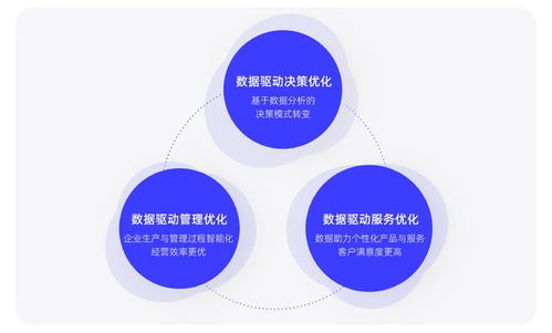 浙大管院与阿里妈妈联合报告 2023品牌经营增长新机遇解析